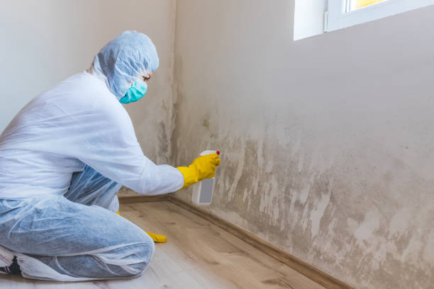 Licensed Mold Remediation service in Foster, VA - 24 Hour Mold Removal