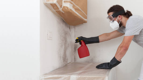 Professional Mold Remediation technician working in Foster, VA