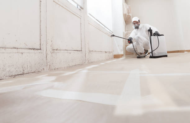 24/7 Emergency Mold Remediation experts in Foster, VA