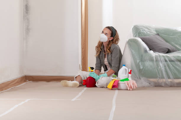 Reliable Mold Remediation contractor in Foster, VA by 24 Hour Mold Removal